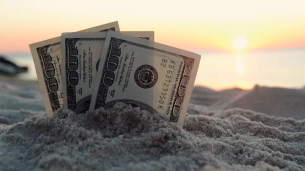 Tre dollarsedlar är begravda i sand på sandstrand nära havet — Stockvideo