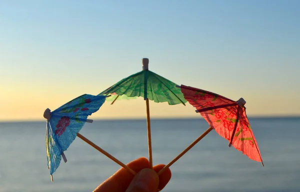 Man holds in hand three beach cocktail small paper umbrellas — Stock Photo, Image