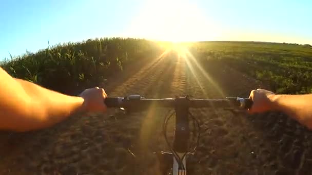 Muž na kole jede přes pole, aby se setkal se sluncem při západu slunce — Stock video