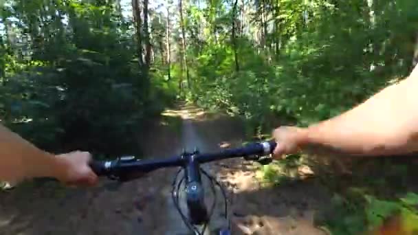 Chica monta en bicicleta a lo largo de un camino en un bosque de pinos en el verano con la luz del sol — Vídeos de Stock