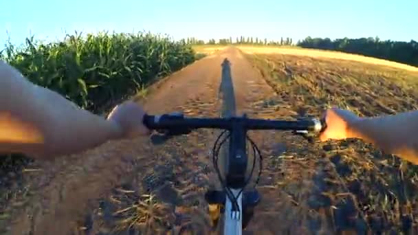 Une fille fait du vélo sur le sol dans un champ d'été au lever du soleil couchant — Video