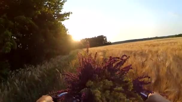 Mujer montando en bicicleta en un bosque de campo natural — Vídeos de Stock