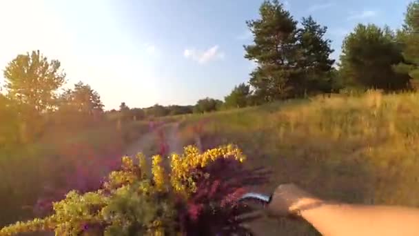 Passeie de bicicleta ao pôr-do-sol sobre o campo — Vídeo de Stock
