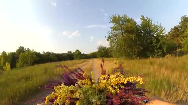畑の上の夜明けの夕日に花と一緒に自転車に乗る — ストック動画