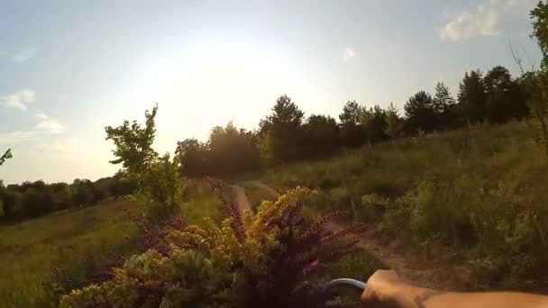 Slow Motion. Vrouw fietsend op een natuurgebied bos — Stockvideo