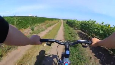 Yeşil bir tarlada bisiklet süren bir kız.