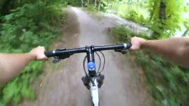 Ormanda bisiklet sürerken, eller direksiyonda