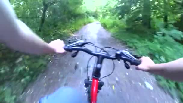En person som sykler på en sykkeltur i tett løvskog – stockvideo