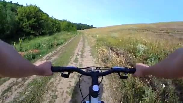 Um homem em uma bicicleta atravessa o campo ao lado do qual a floresta — Vídeo de Stock