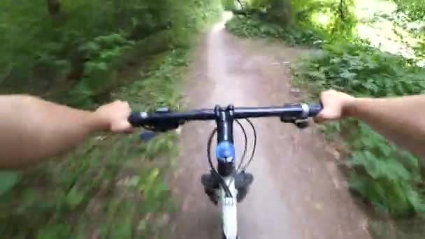 Radfahrerin fährt auf Waldweg. — Stockvideo