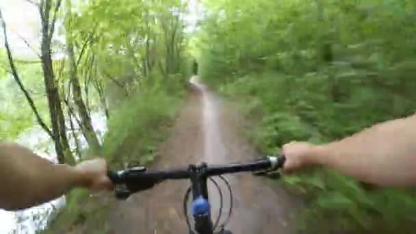 森の道を自転車で走る少女サイクリスト. — ストック動画