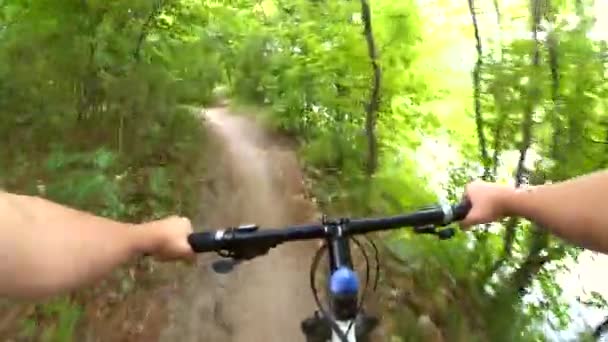 En cykeltur snabbt genom skogen snår längs en smal — Stockvideo