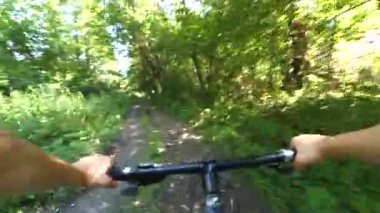 Yaz öğleden sonraları hızla ormanda bisiklet sürmek.