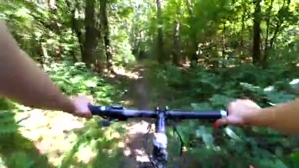 Girl rides a bike along a path in a pine forest in the summer with sunlight — Stock Video