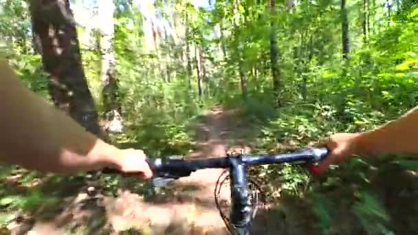 Человек, сидящий за рулем велосипедиста, едет по тропинке — стоковое видео
