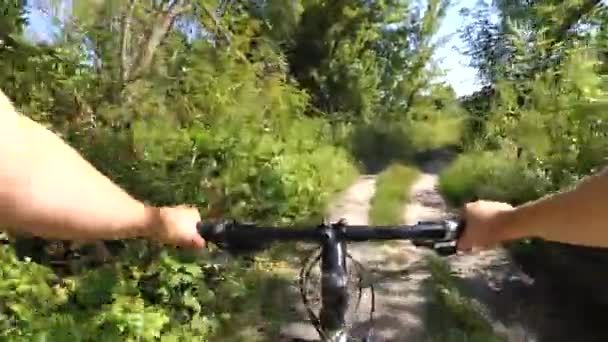 Cykla genom skogen på sommardagen — Stockvideo