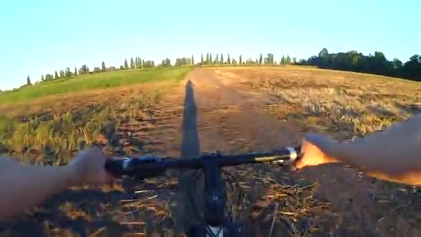 Una chica monta una bicicleta en el suelo en un campo de verano durante el amanecer — Vídeos de Stock