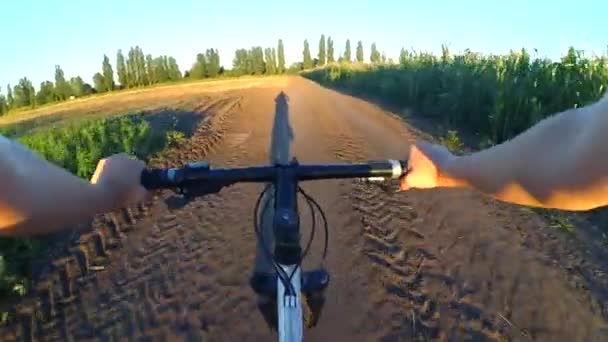 Una chica monta una bicicleta en el suelo en un campo de verano durante el amanecer — Vídeos de Stock