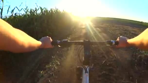 El hombre en bicicleta está viajando a través del campo para encontrarse con el sol durante el amanecer — Vídeos de Stock