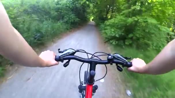 Een persoon fietsen op een fietstocht snel loofbos — Stockvideo