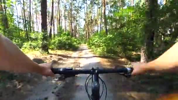 Un hombre en bicicleta pasea en un bosque de pinos en la tarde de verano en tiempo soleado — Vídeos de Stock