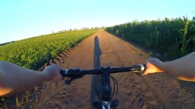 Gün batımında bir yaz tarlasında bisiklet süren bir kız..