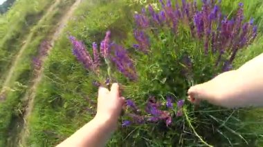 Çiçekleri koparmak.