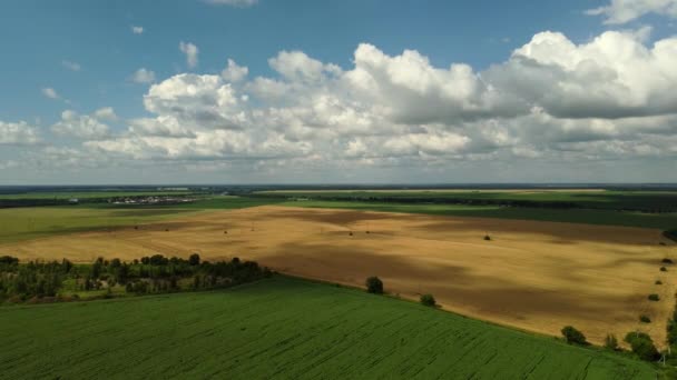 Nubes blancas se mueven a través del cielo sobre diferentes campos — Vídeos de Stock