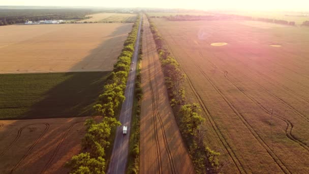 Drone che sorvola la strada tra campi di grano durante il tramonto dell'alba. — Video Stock