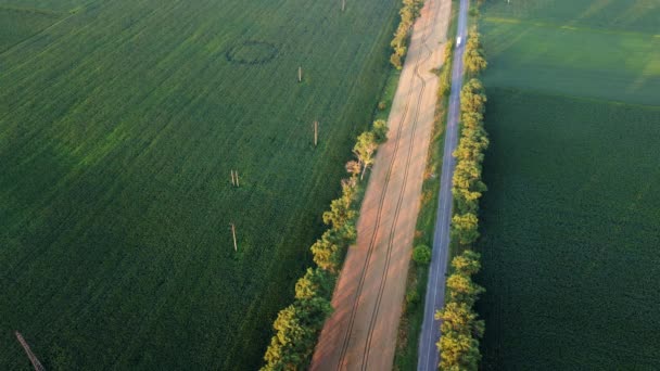 Drone che sorvola la strada tra verdi campi agricoli durante il tramonto dell'alba. — Video Stock
