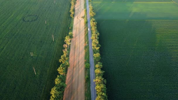 Drona care zboară peste drum între câmpurile agricole verzi în timpul apusului de soare . — Videoclip de stoc