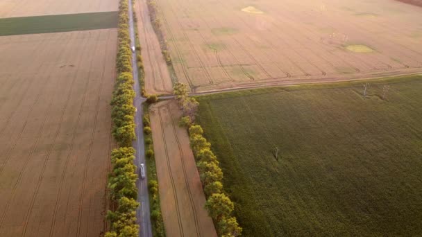 Dron przelatujący nad drogą między polami pszenicy o zachodzie słońca — Wideo stockowe