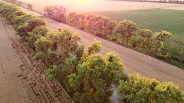 Drone voando sobre a estrada entre campos de trigo durante o pôr do sol. — Vídeo de Stock