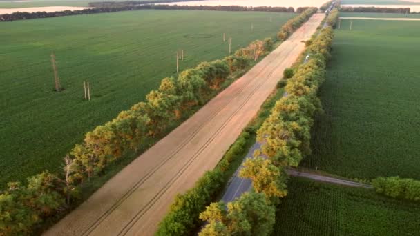 Dron přeletěl nad silnicí mezi zelenými zemědělskými poli během západu slunce. — Stock video