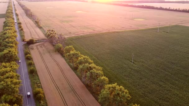 Беспилотник пролетает над дорогой между пшеничными полями на рассвете. — стоковое видео