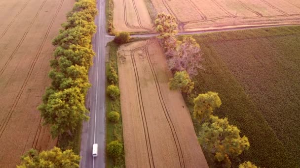 Drone vliegt over weg tussen tarwevelden bij zonsondergang. — Stockvideo
