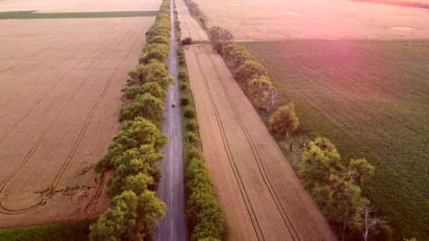 Dron přelétající přes silnici mezi pšeničnými poli během západu slunce. — Stock video