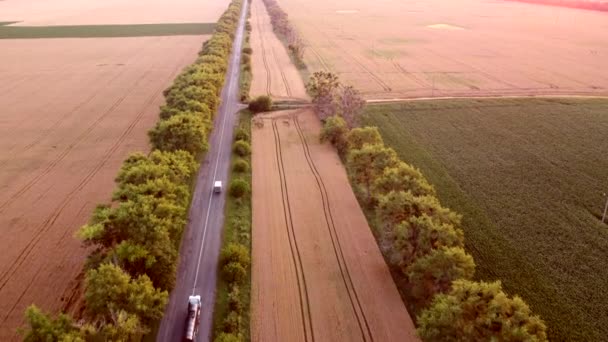 Drone voando sobre a estrada entre campos de trigo durante o pôr do sol. — Vídeo de Stock