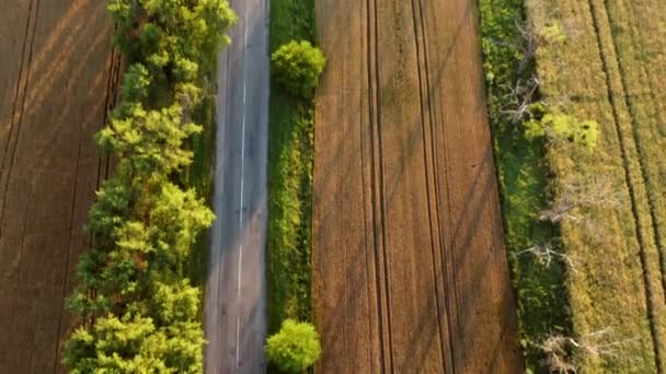Воздушный беспилотник видит полет над асфальтовой дорогой с зелеными деревьями между пшеничными полями — стоковое видео