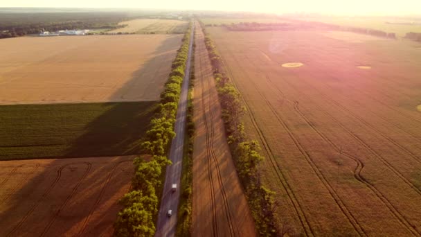 Dron přelétající přes silnici mezi pšeničnými poli během západu slunce. — Stock video