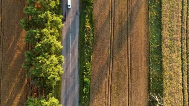 Lotnicze drona widok lotu nad drogą asfaltową z zielonych drzew — Wideo stockowe