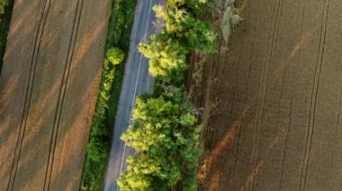 Asfalt yolu üzerinde yeşil ağaçlarla uçan hava aracı görüntüsü