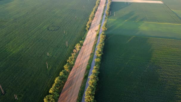 Drone vliegen over de weg tussen groene landbouwvelden bij zonsondergang. — Stockvideo