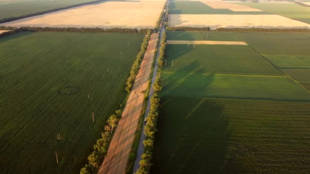 Dron přeletěl nad silnicí mezi různými zemědělskými poli během západu slunce. — Stock video