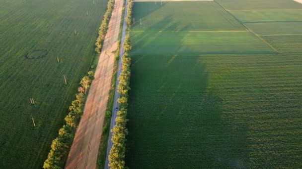 Dron przelatujący nad drogą między zielonymi polami rolniczymi o zachodzie słońca. — Wideo stockowe