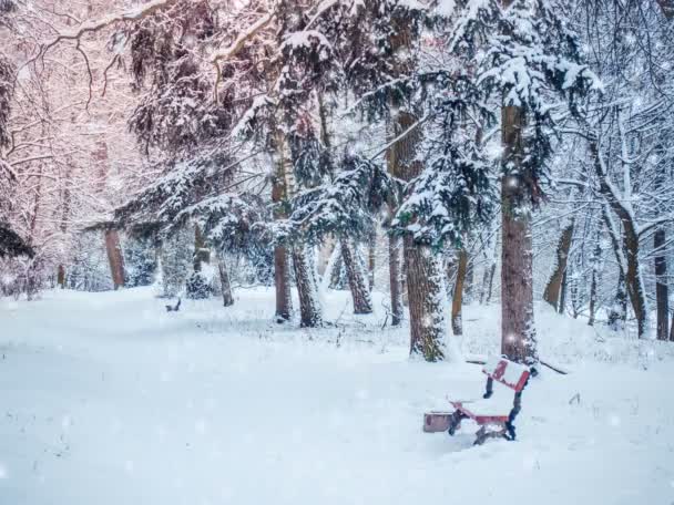 Bosque invierno con nieve cayendo — Vídeos de Stock