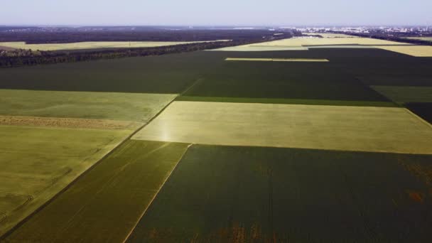 Volo aereo drone vista su diversi campi agricoli seminati — Video Stock