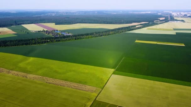 Avión teledirigido aéreo vista vuelo sobre diferentes campos agrícolas sembrados — Vídeos de Stock