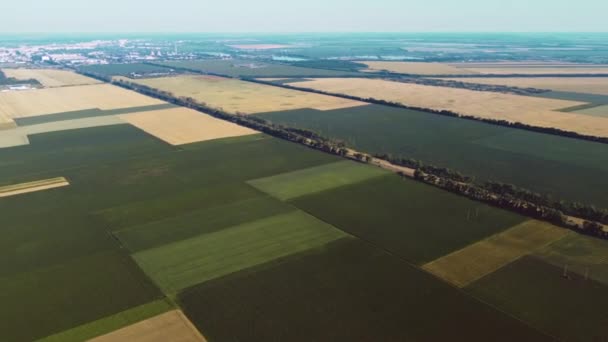 Avión teledirigido aéreo vista vuelo sobre diferentes campos agrícolas sembrados — Vídeos de Stock