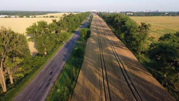 Avión teledirigido vuelo sobre campo de trigo carretera y árboles verdes al atardecer — Vídeos de Stock